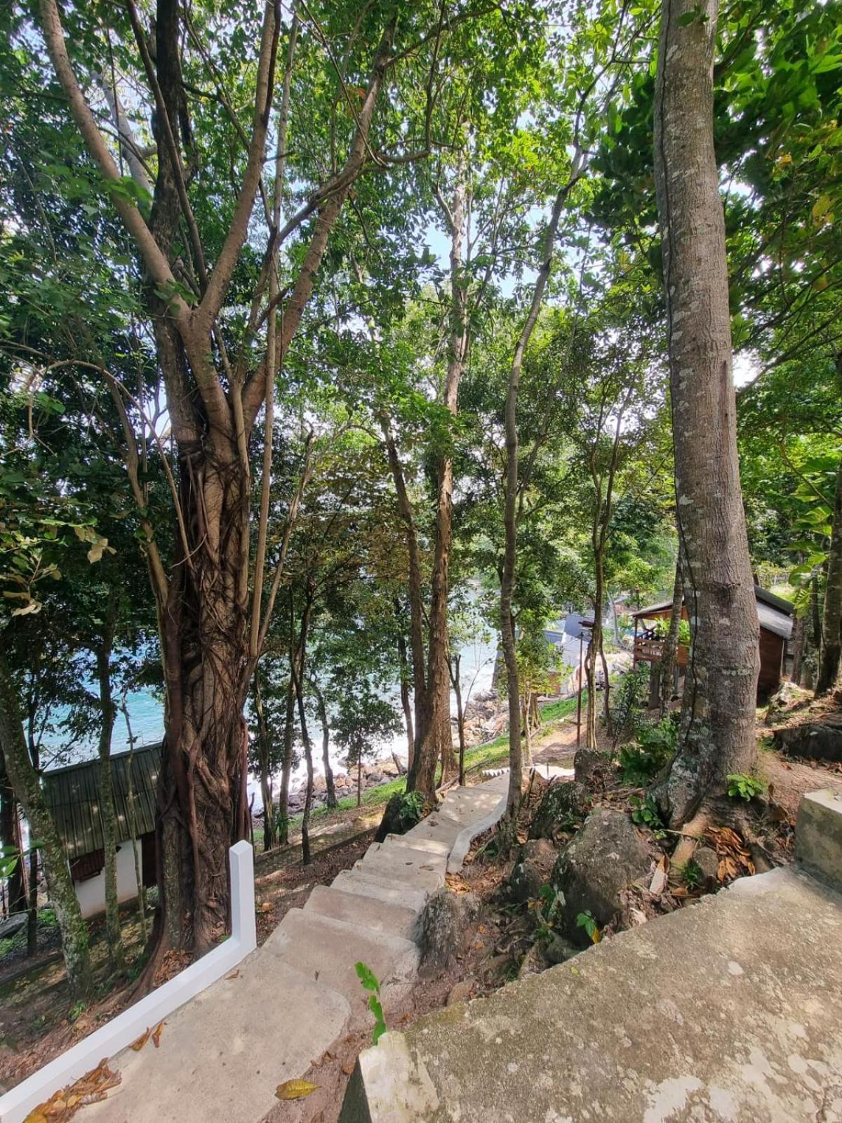Treetop Guesthouse And Bungalows Sabang  Kültér fotó
