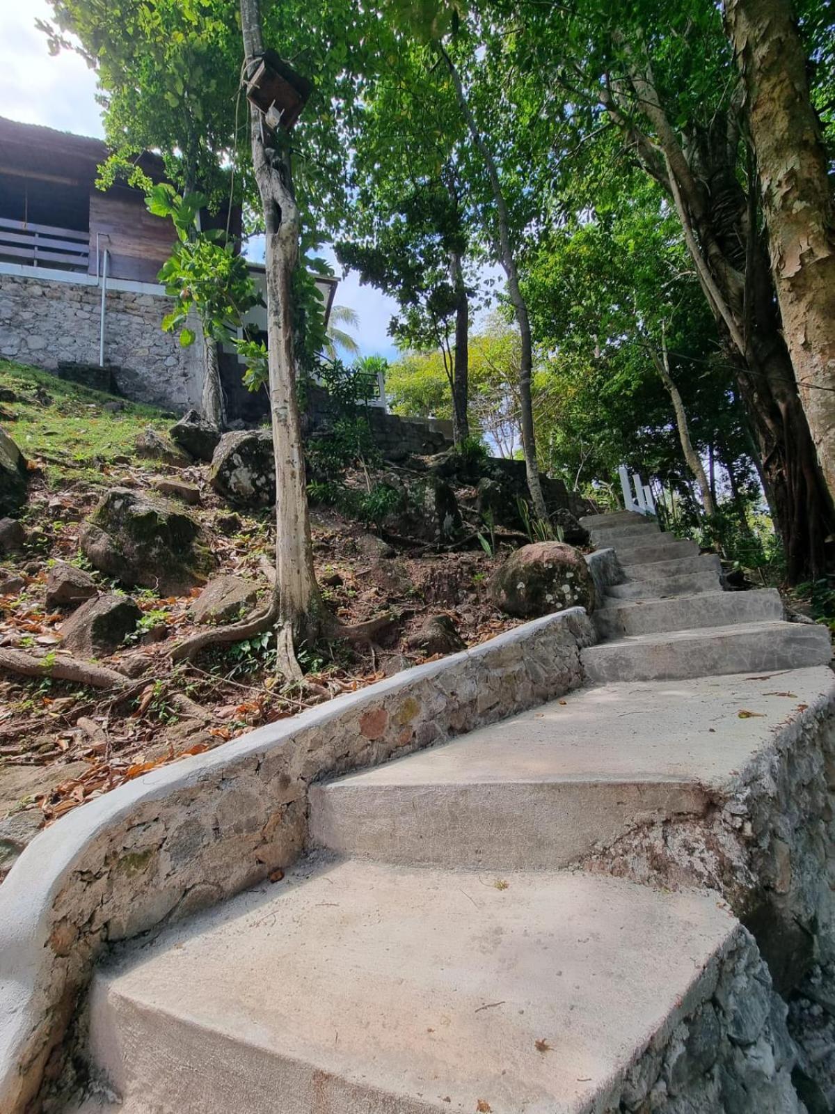 Treetop Guesthouse And Bungalows Sabang  Kültér fotó