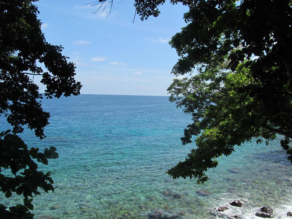 Treetop Guesthouse And Bungalows Sabang  Kültér fotó